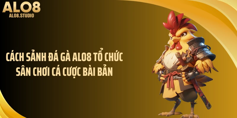 Cách sảnh đá gà ALO8 tổ chức sân chơi cá cược bài bản